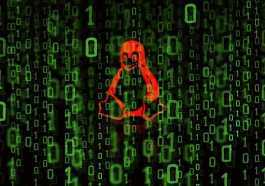 Hackers deploy Linux malware, web skimmer on e-commerce servers
