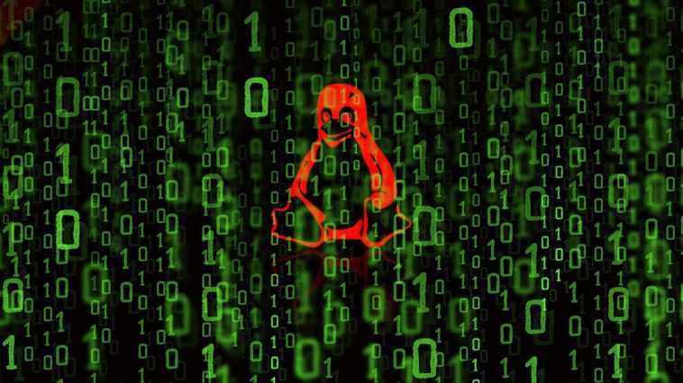 Les pirates déploient des logiciels malveillants Linux, un écumeur Web sur des serveurs de commerce électronique 1 Hackers deploy Linux malware, web skimmer on e-commerce servers