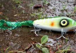bait