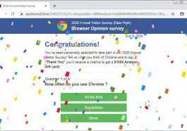 Chrome Annual visitor survey scam