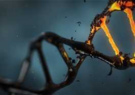 DNA