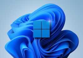 Windows 11