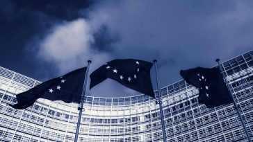 EU Parliament adopts Digital Services Act