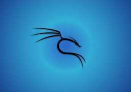 Kali Linux
