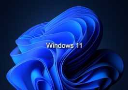 Microsoft annule les modifications gênantes des paramètres du navigateur par défaut de Windows 11 52 Windows 11