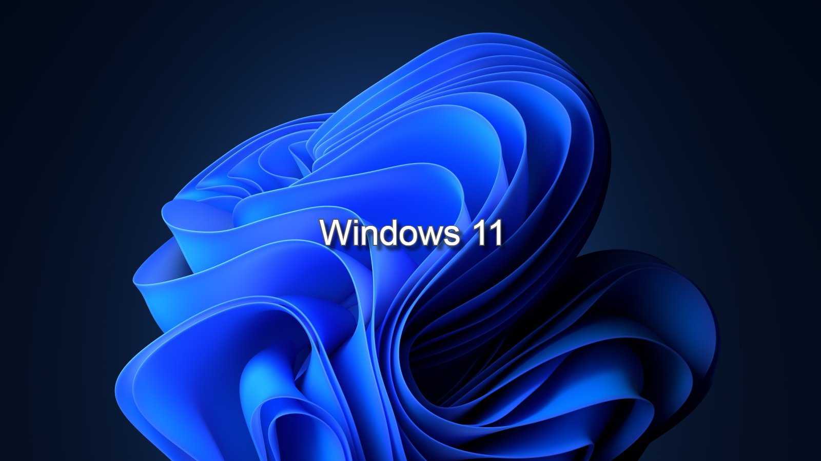 Windows 11
