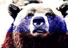Un groupe de piratage russe utilise un nouveau malware furtif Ceeloader 38 Russian bear