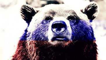 Russian bear