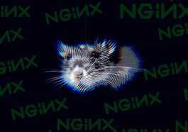NginRAT malware hides as legit Nginx process of eCommerce servers