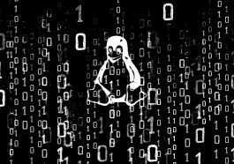 Linux