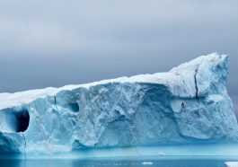 ice