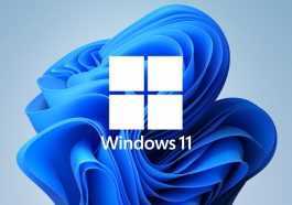Windows 11