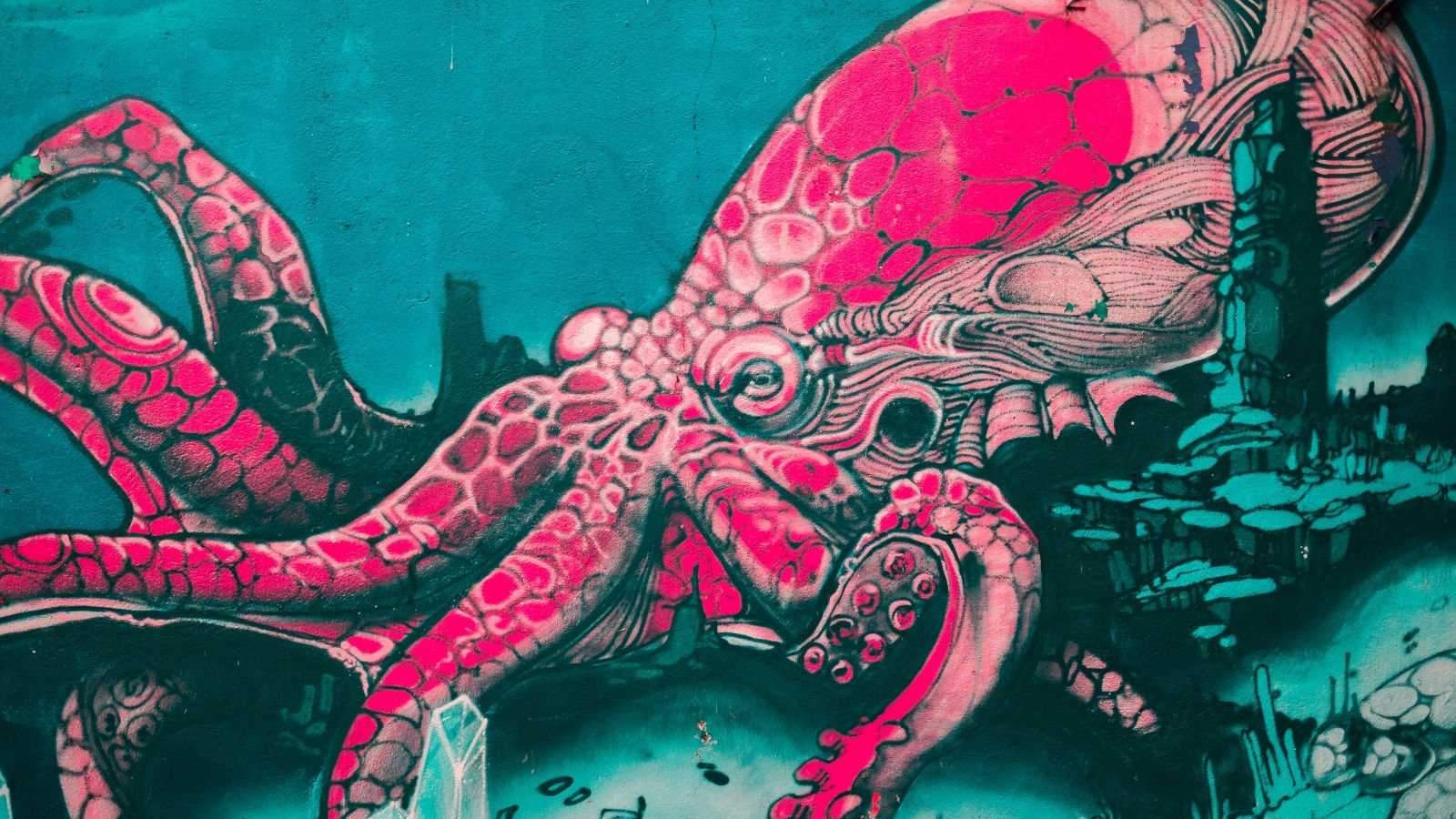 octopus