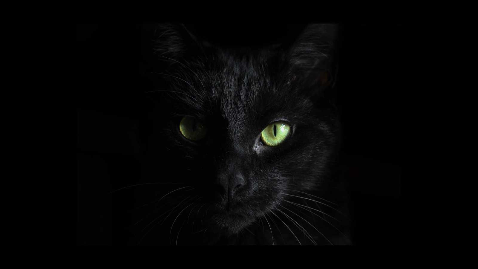 BlackCat ransomware