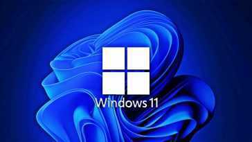 Windows 11