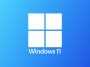 Windows 11