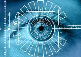 Biometric eye scan