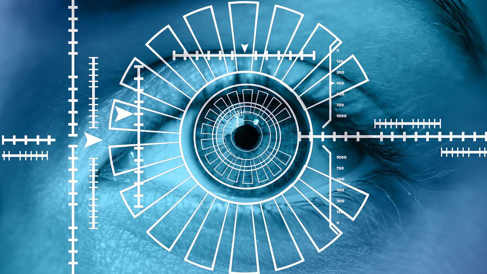 Biometric eye scan