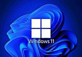 Windows 11