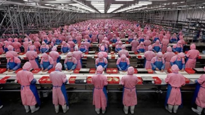 Image d'une usine de smartphones Apple en Chine