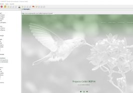 Projecto Colibri - software de gestão intuitivo com as melhores ferramentas