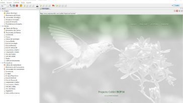 Projecto Colibri - software de gestão intuitivo com as melhores ferramentas