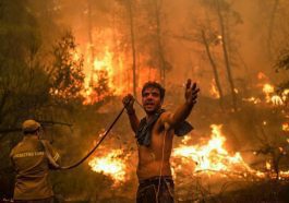 Perigo Extremo de incêndio: DEFIS partilha imagem "impressionante"