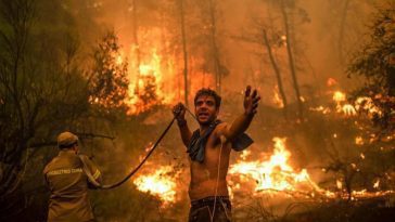 Perigo Extremo de incêndio: DEFIS partilha imagem "impressionante"