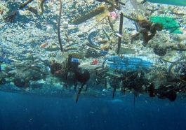 Plus de 100 000 kg de plastique retirés du Great Pacific Garbage Patch