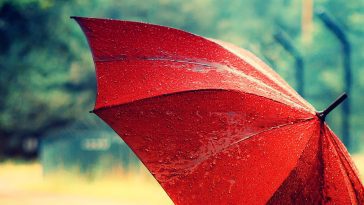 Sabia que a chuva está contaminada com "químicos eternos"