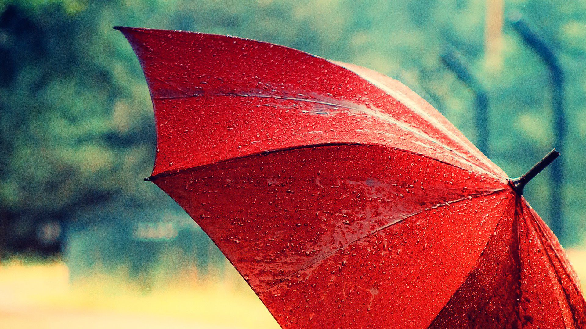 Sabia que a chuva está contaminada com "químicos eternos"