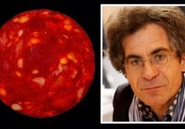 Rodela de chouriço? Cientista francês engana seguidores no Twitter