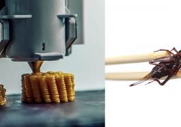 L'impression 3D d'insectes mélangés à des légumes pourrait aider à lutter contre la faim