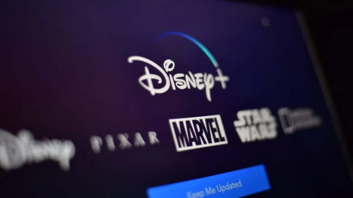 Utilisateurs du marché du streaming Disney+ Netflix