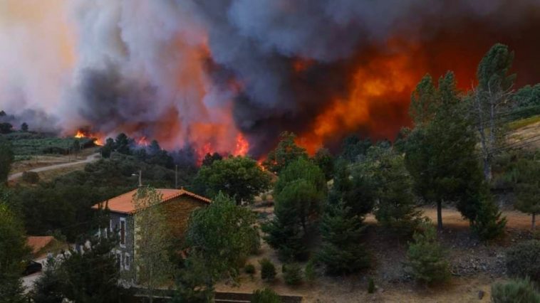 Serra da Estrela: Copernic révèle que 16 000 hectares ont déjà brûlé 1 Incêndio da Serra da Estrela: Copernicus mostra 16 mil hectares ardidos