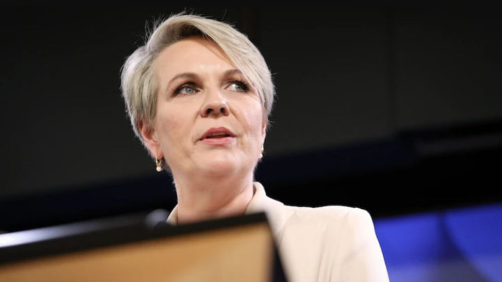 Tanya Plibersek, ministre australienne de l'Environnement