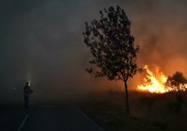 Copernicus mostra fumo do fogo da Serra da Estrela em Madrid