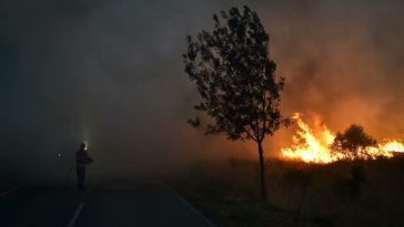 Copernicus mostra fumo do fogo da Serra da Estrela em Madrid