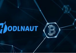 Le prêteur de crypto-monnaie Hodlnaut licencie 40 employés, selon une enquête policière