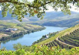 Douro