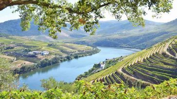Douro