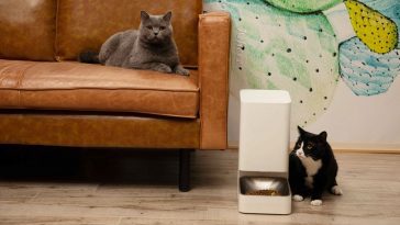 Xiaomi quer que passe a alimentar os seus animais... de forma inteligente