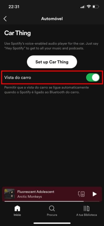 Vue de la voiture Spotify