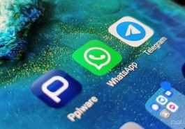 Telegram WhatsApp segurança Meta Pavel Durov