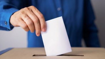 Parasita no cérebro pode influenciar ideologias políticas