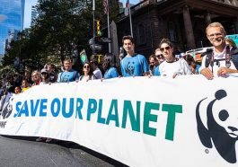 World Wide Fund for Nature (WWF)