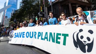 World Wide Fund for Nature (WWF)