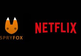 Netflix achète un autre développeur de jeux, Spry Fox