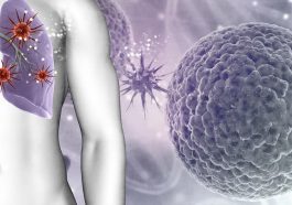 TLR2 : la protéine qui pourrait aider à réduire les décès par cancer