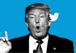 Já nem Donald Trump quer voltar ao Twitter... a rede de Elon Musk vai definhar?